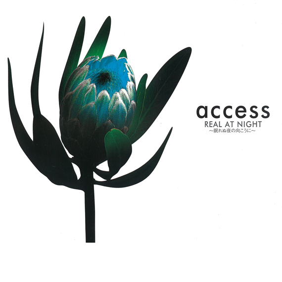 REAL AT NIGHT～眠れぬ夜の向こうに～