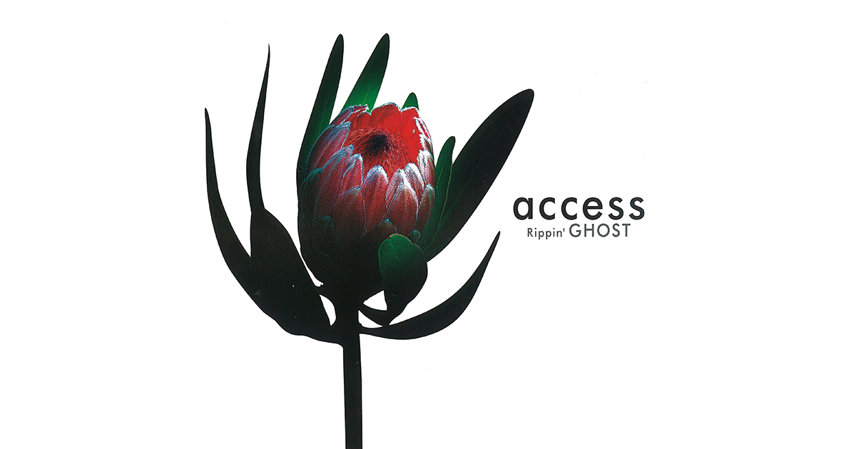 Rippin' GHOST | access official website